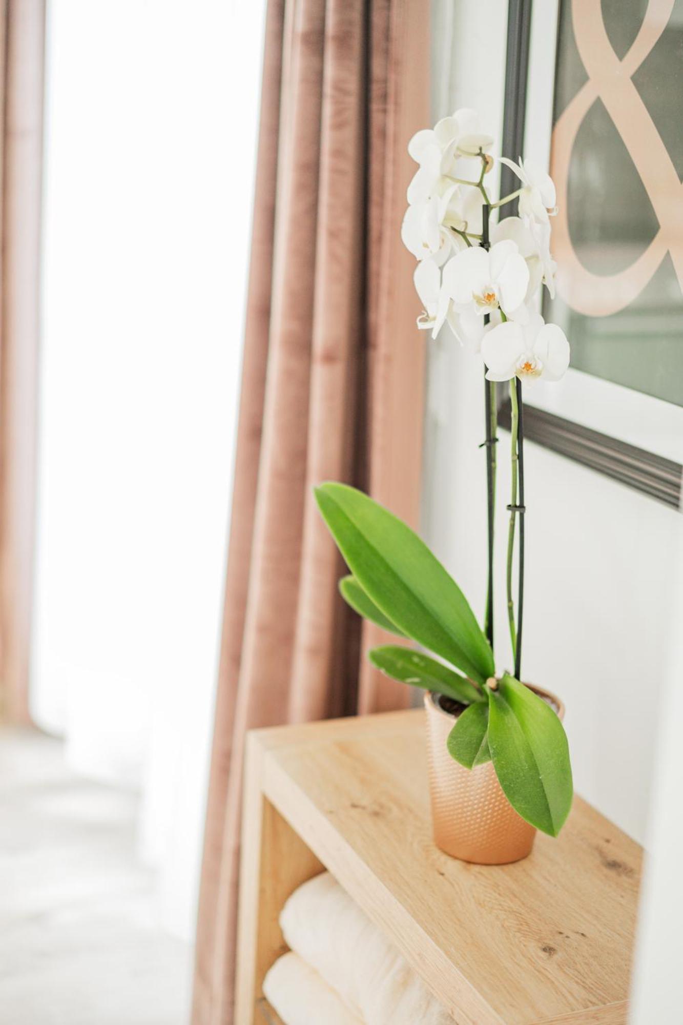 City Lodge Wien Ngoại thất bức ảnh